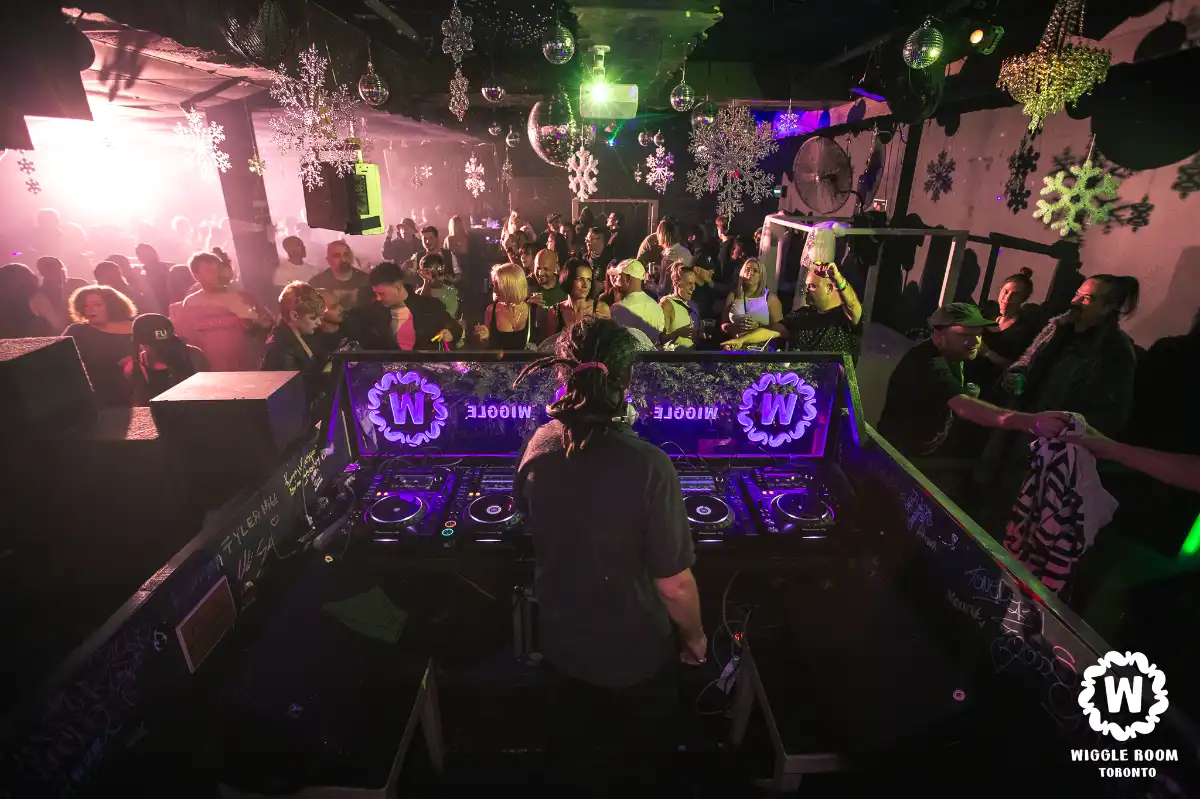 DJ performing to crowd